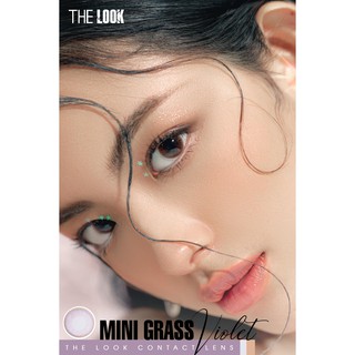 KÍNH ÁP TRÒNG PREMIUM  MINI GRASS VIOLET LIMITED