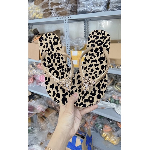 Dép xỏ ngón Havaianas hoạ tiết beo