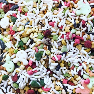 THỨC ĂN NỀN CƠ BẢN CHO HAMSTER