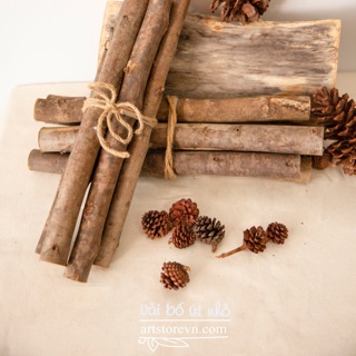 Bó củi trang trí (5cây/bó)