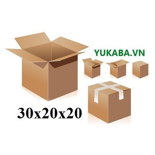 10 Thùng giấy carton 30x20x20