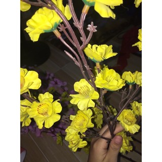 10 Cành mai giả thanh lý 98%
