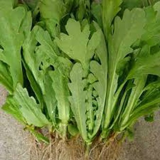 20gram HẠT GIỐNG RAU TẦN Ô