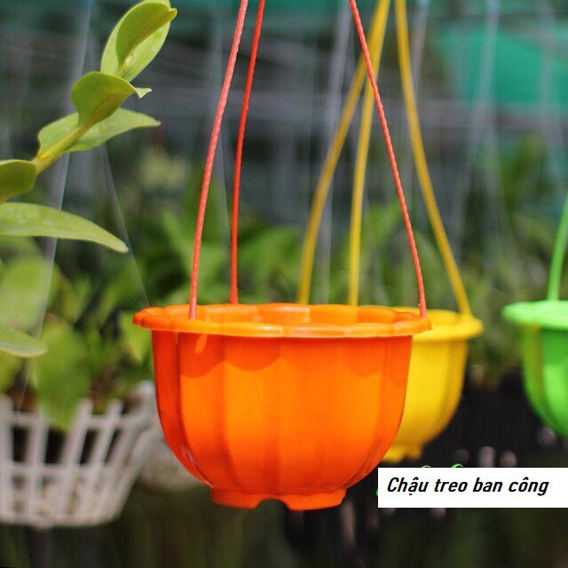 Chậu treo ban công, giỏ treo lan, trồng cây, hoa ban công hình quả bí ngô kích thước 20*17cm bền đẹp hàng công ty loại 1