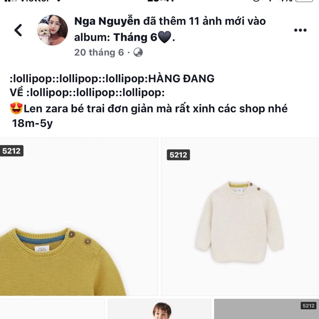 Ao len zara