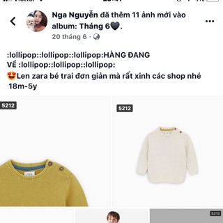 Ao len zara