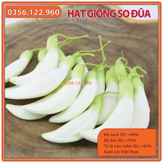 Hạt giống cây so đũa cho dê, trâu, bò - gói 10 gam