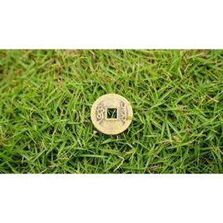 [Mã SMI23 giảm 8% đơn 300K] Đồng xu âm dương -đồng tiền tài lộc