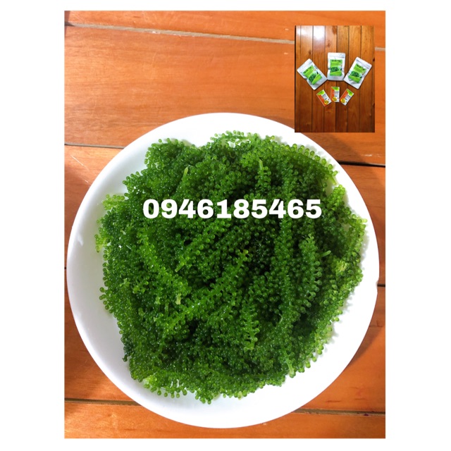 COMBO 300 GAM RONG TƯƠI TÁCH NƯỚC TẶNG KÈM 1 GÓI XỐT MÈ RANG | BigBuy360 - bigbuy360.vn