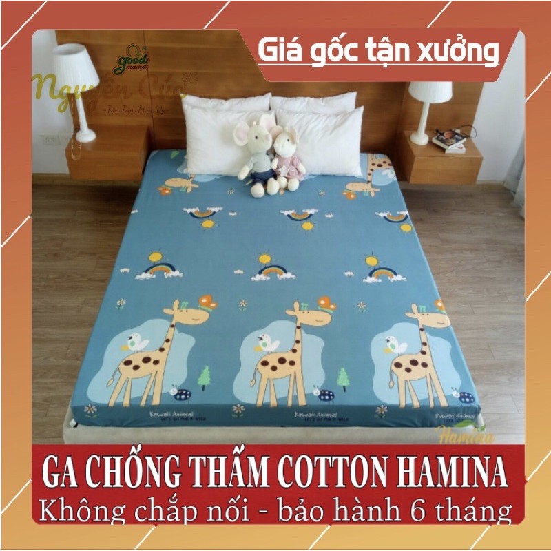 GA CHỐNG THẤM COTTON HAMINA