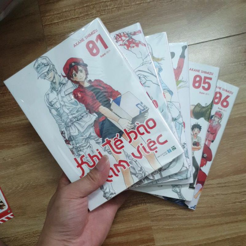 Khi tế bào làm việc Full 6q bản in đầu Full Sticker