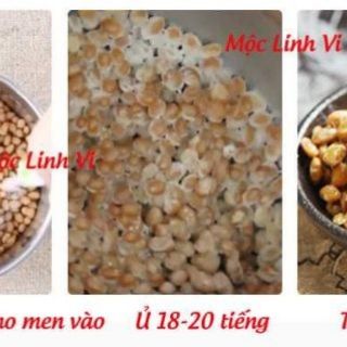 Men natto mlinhvi.45
