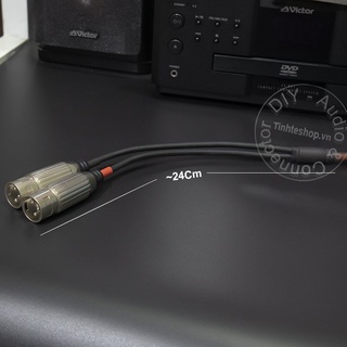 Cáp 6.5mm ra 2 XLR đực