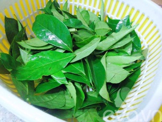 500gr Lá Móc Mật Tươi  - [ ĐẶC SẢN - QUÀ BIẾU ]