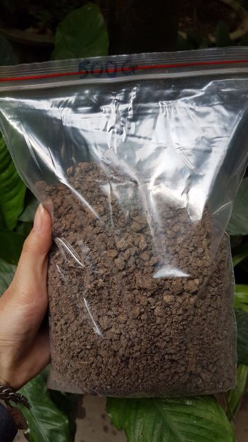 1 kg phân gà nhập khẩu Nhật Bản giá tốt