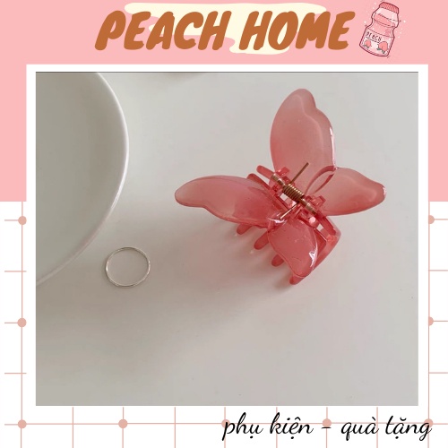 Kẹp Tóc Càng Cua Hình Bướm, Cặp Tóc Hàn Quốc Nhiều Loại Phong Cách Hàn Quốc Hot Trend Dành Cho Nữ