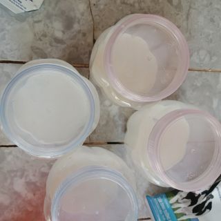 Nấm sữa kefir
