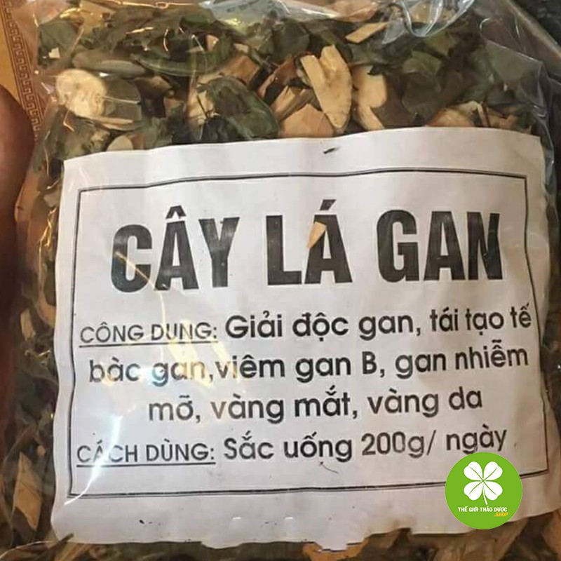 Cây lá gan (gói 1kg khô) - TD048