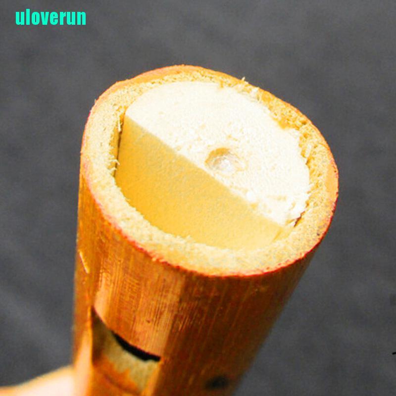 Sáo tre 6 lỗ chất lượng cao dành cho người mới bắt đầu/ học sinh