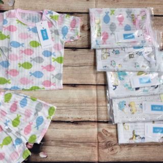 COMBO 25B COTTON GIẤY