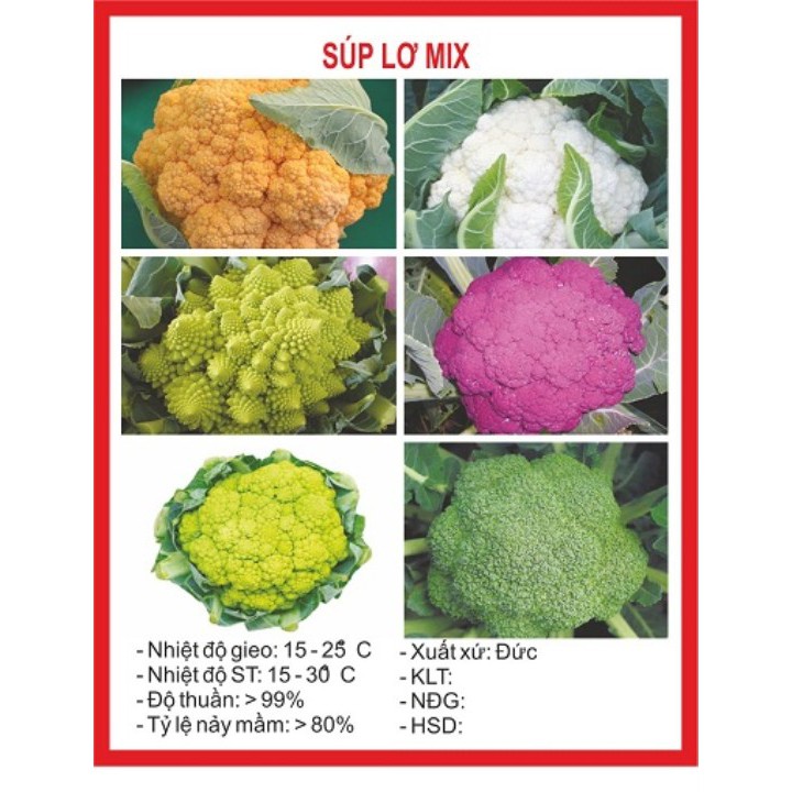 100 hạt giống súp lơ mix