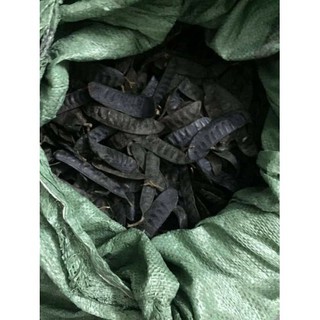 100gr BỒ KẾT RỪNG SẤY KHÔ NGHỆ AN LOẠI 1