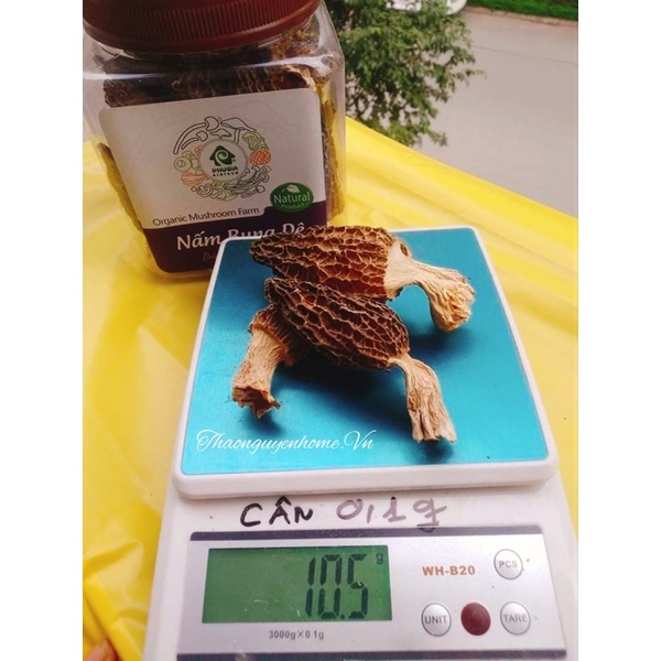 Nấm bụng dê ( hầm, lẩu, nấu canh, xào)