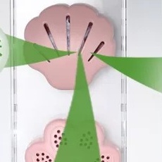 Khử Mùi Tủ Lạnh MDT Than Hoạt Tính Hút Tẩy Sạch Mùi Tủ Lạnh, Giày, Quần Áo , Ô tô Đa Năng Nội Địa Trung Chính Hãng