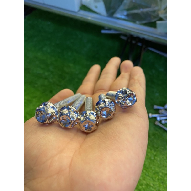 Ốc salaya các size thông dụng