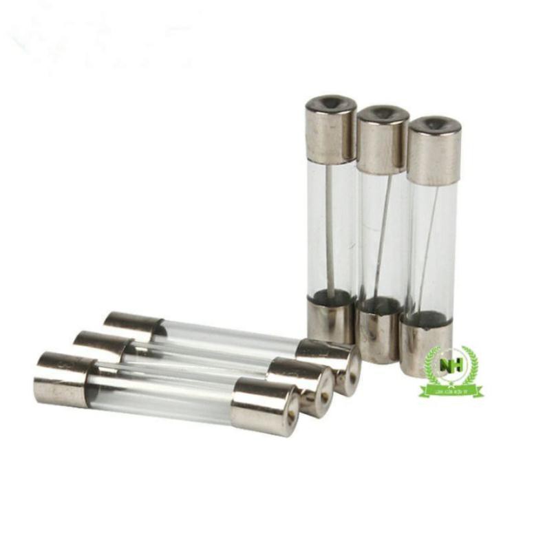 Hộp 100C cầu chì ống thủy tinh 5x20/6x30MM 250V Loại Tốt