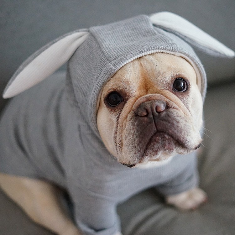 Áo cho thú cưng vải len tăm cao cấp có mũ tai thỏ cực đáng yêu
