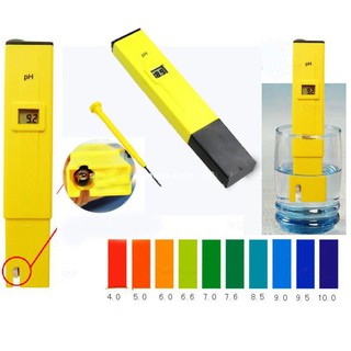 Bút đo độ pH giá rẻ PH-107