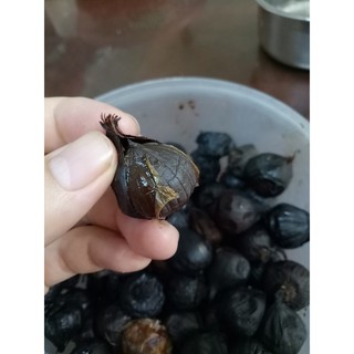 Tỏi đen 100g