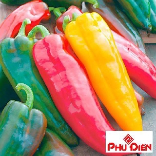 Gói 30 hạt giống ớt sừng bò  PHÚ ĐIỀN