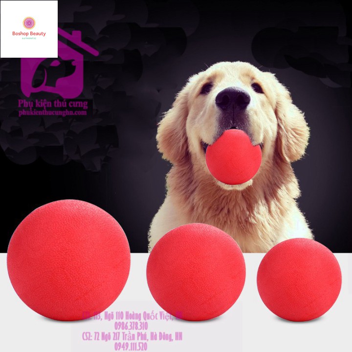 [Mã giảm mỹ phẩm chính hãng] Bóng đồ chơi cao su đỏ đặc ruột dành cho thú cưng - Phụ kiện chó mèo Pet shop Hà Nội