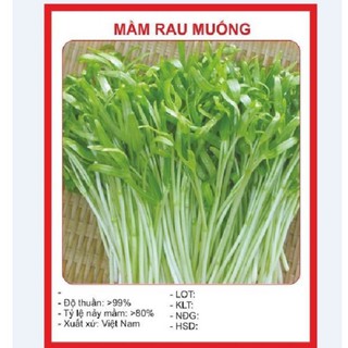 Hạt Giống Rau Mầm Rau Muống ( Gói 50gram )