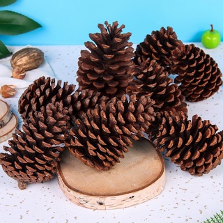 Quả thông khô trang trí nhà cửa decor phòng trang trí noel