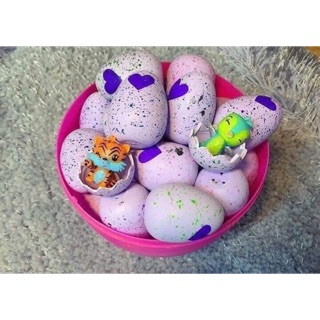 Combo 30 Trứng nở Hatchimals đủ 3 màu