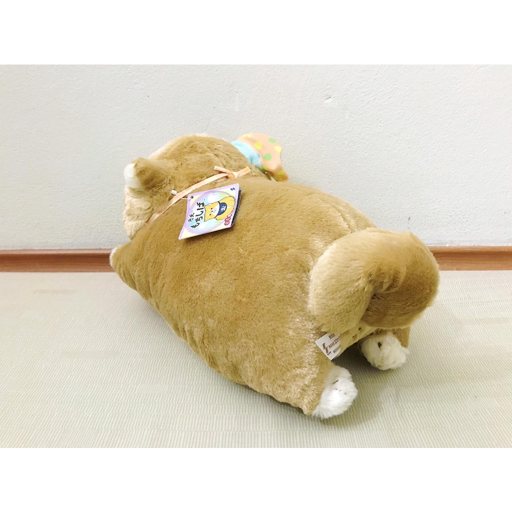 SK JAPAN - Bé cún Mochishiba đội mũ chóp cute