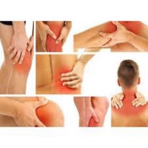 [Chính hãng] Dầu - Cao Xoa Cúp Vàng 40 gram [Chính hãng]  Date mới