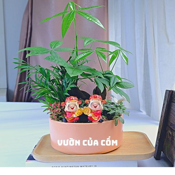 Tượng ông thần tài phong thủy trang trí tiểu cảnh sen đá , cây cảnh , thủy sinh . Kíck thước 3,5 x 5 cm