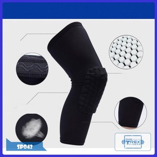 Bảo vệ đầu gối thể thao SP042, Băng bảo vệ đầu gối có lót đệm cao su - Gym Trex