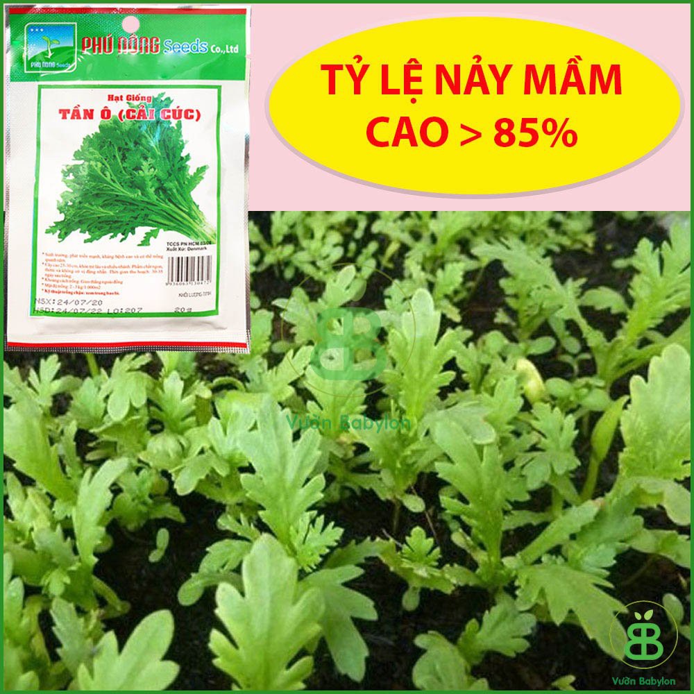 Hạt Giống Rau Tần Ô 20Gr - Hạt Giống Cải Cúc Dễ Trồng, Giàu Dinh Dưỡng -  Hạt Giống Thương Hiệu Phú Nông | Zalora.Vn