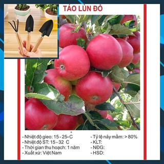 Hạt giống Cây Táo Lùn Đỏ 10 Hạt TẶNG BỘ LÀM VƯƠN MINI