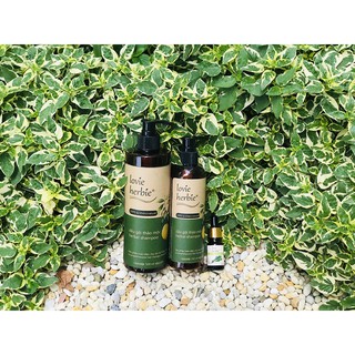 Dầu Gội Thảo Mộc ORGANIC Lovie Herbie 250ML