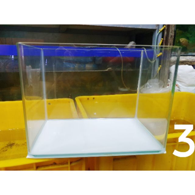 HỒ CÁ ĐÚC BO CONG 2 CẠNH 26x27x19cm