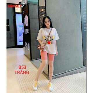 đồ lửng thun thái dẻo B53