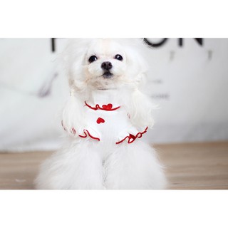 Áo lọ cho chó mèo