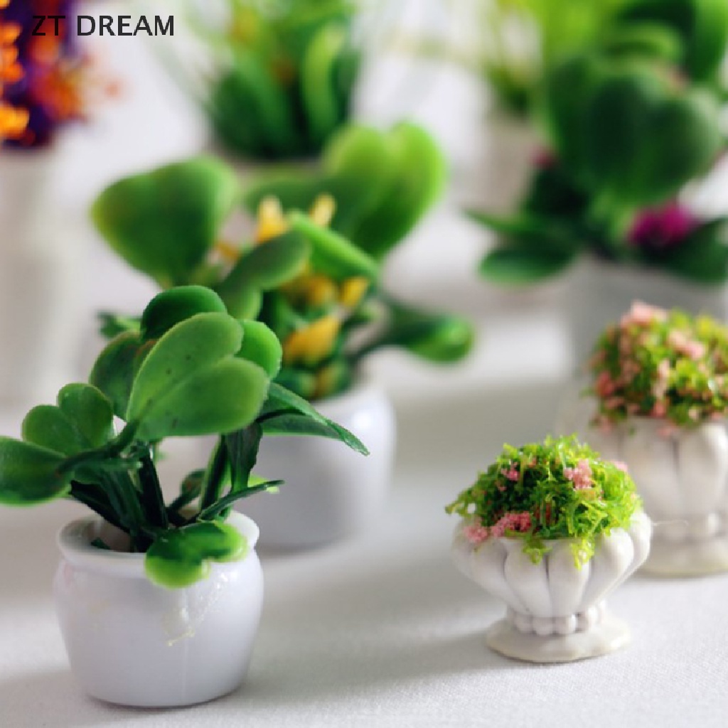 Chậu Cây Mini 12 Kiểu 1: 12 Thân Thiện Với Môi Trường Trang Trí Nhà Búp Bê 07