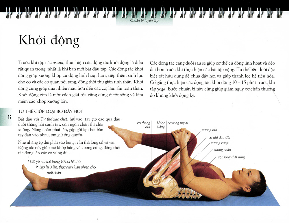 Sách Yoga Cho Sức Khỏe Vững Bền